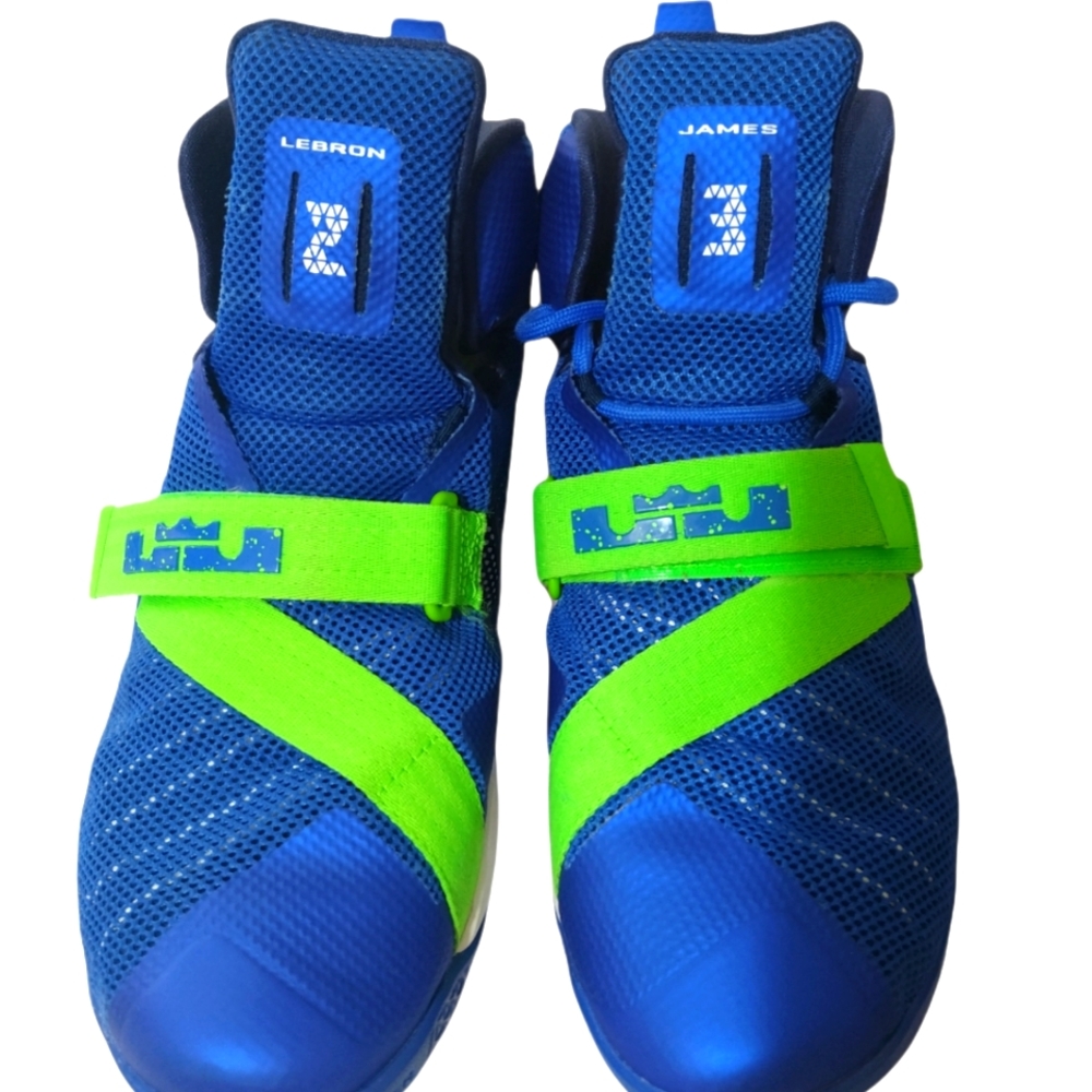 Lebron James Nike shoes 9.5
